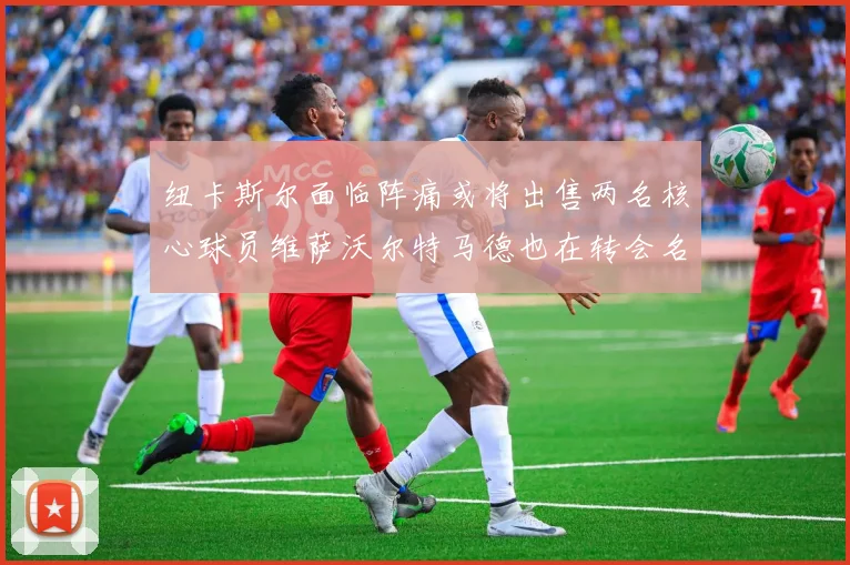 纽卡斯尔面临阵痛或将出售两名核心球员维萨沃尔特马德也在转会名单上